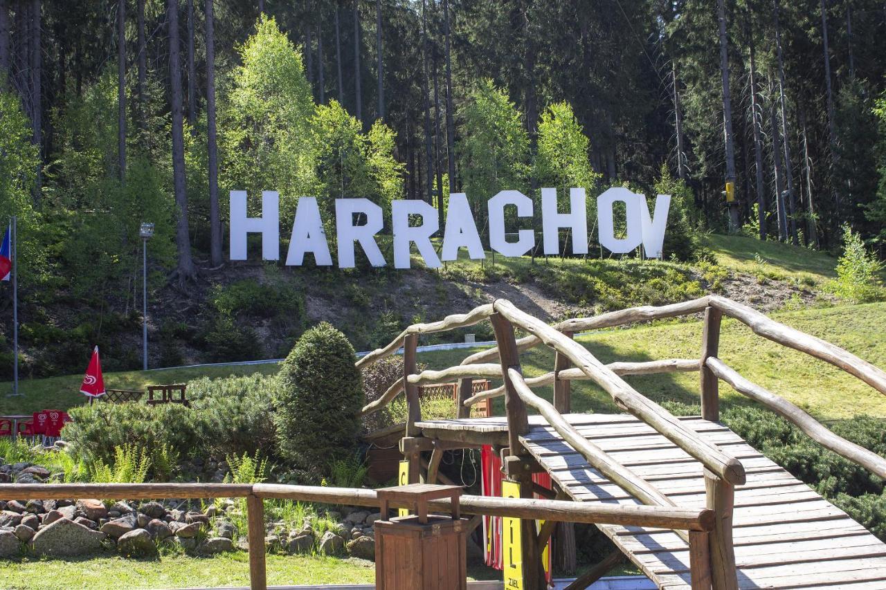 Enjoyharrachov - Atraktivni Slunny Klimatizovany Apartman 14 V Centru Harrachova Se Saunou, Parkovanim, Wifi-Wlan, Sat, Herni Konzoli, Pc S Win 10, Netflix Zdarma A Moznosti Dobijeni Auta S Jedinecnym Vyhledem Na Certovu Horu Se Skokanskymi Mustky Exterior foto